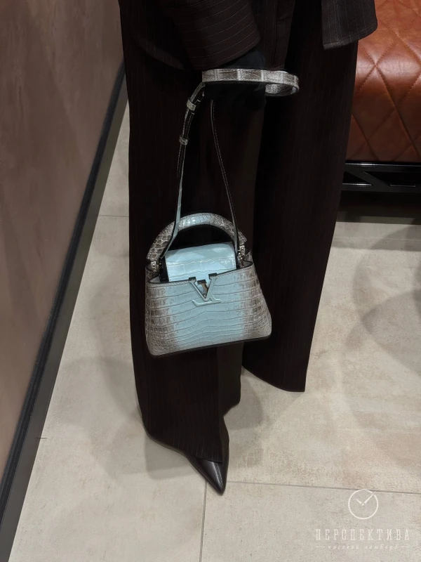 Louis Vuitton Capicine Bleu Himalaya CapucineHima 4