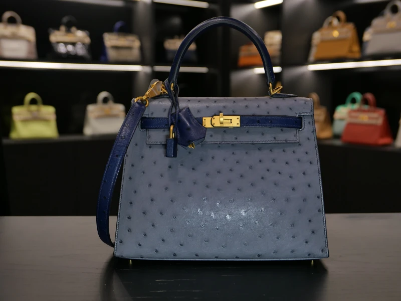 Hermès KELLY 25 HSS OSTRICHGRIS AGATE / BLEU IRIS BGHW K25HSS 2