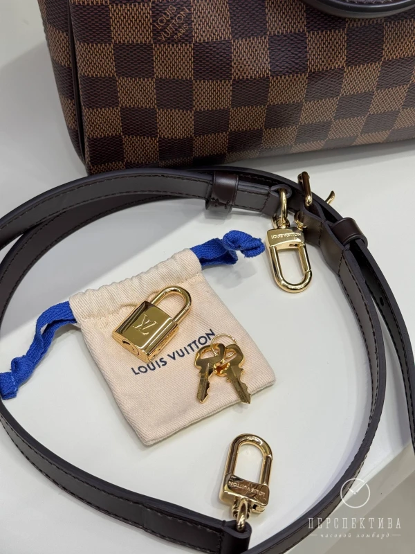 Louis Vuitton Speedy Bandoulière 25 N40575 9