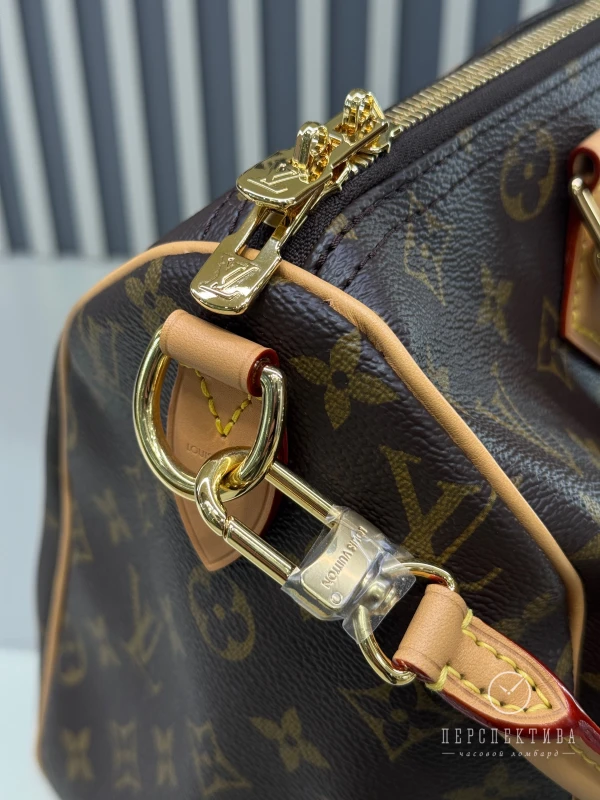 Louis Vuitton Speedy Soft 30 Crafty M11945 3