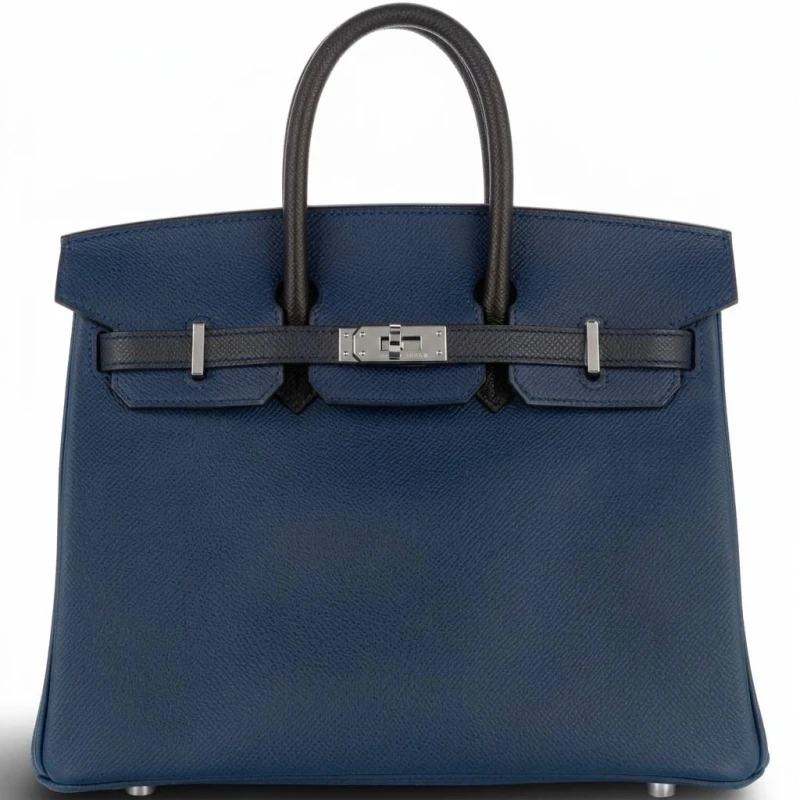BIRKIN 25 VEAU EPSOMTRI-COLORE GHW