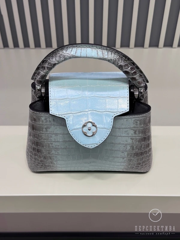 Louis Vuitton Capicine Bleu Himalaya CapucineHima 3