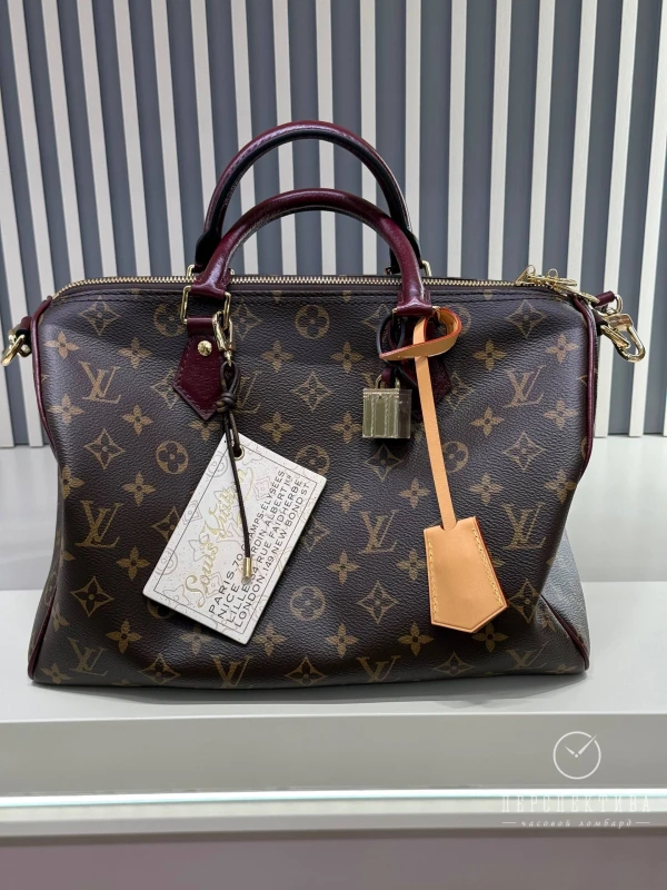 Louis Vuitton Speedy 30 Soft Celebration M28379 2