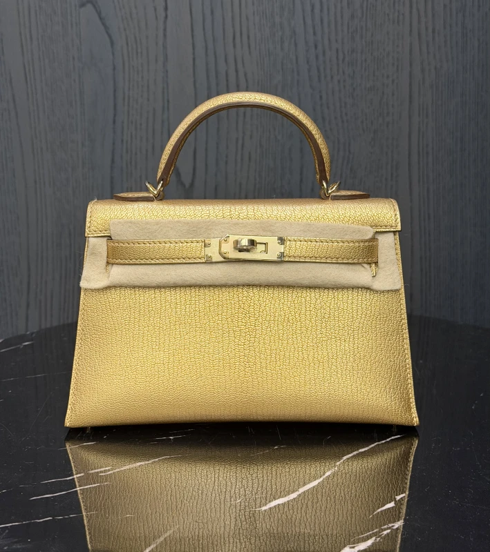 Hermès KELLY 20 MINI CHEVRE D'ORE PBHW K20CD 9