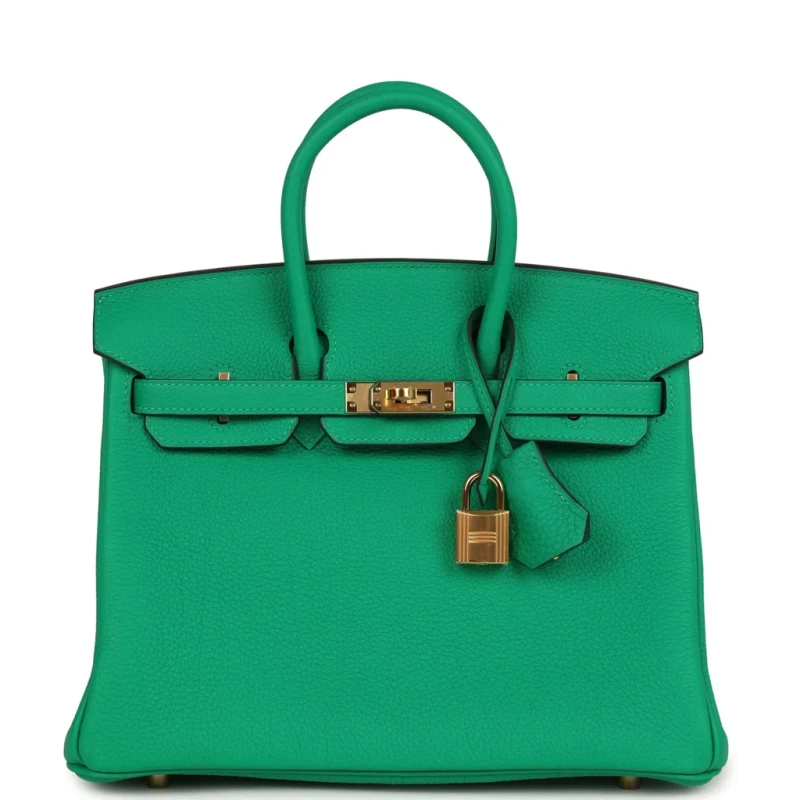 BIRKIN 25 VEAU TOGO MENTHE GHW