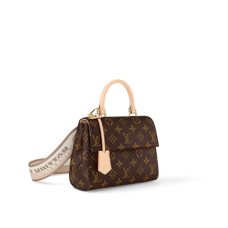 Louis Vuitton Cluny Mini Monogram M46055 5