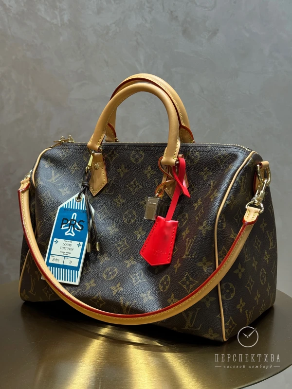 Louis Vuitton Speedy Soft 30 Crafty M11945 9
