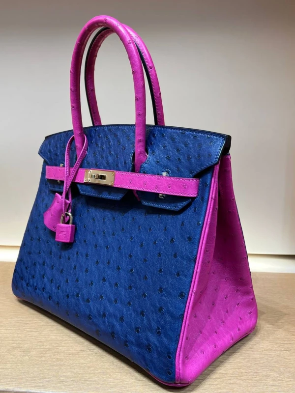 Hermès KELLY RETOURNE 25 OSTRICH CHAI GHW H068593CZ 4