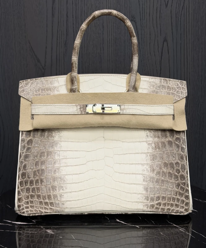 Hermès BIRKIN 30 CROCODILE NILOTICUS MATTE HIMALAYA PHW B30HIMA 9