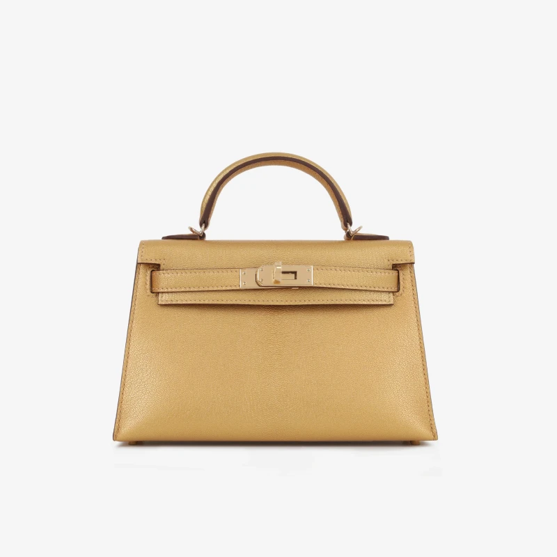 Hermès KELLY 20 MINI CHEVRE D'ORE PBHW K20CD 2