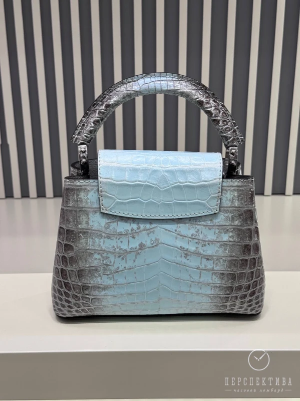Louis Vuitton Capicine Bleu Himalaya CapucineHima 9
