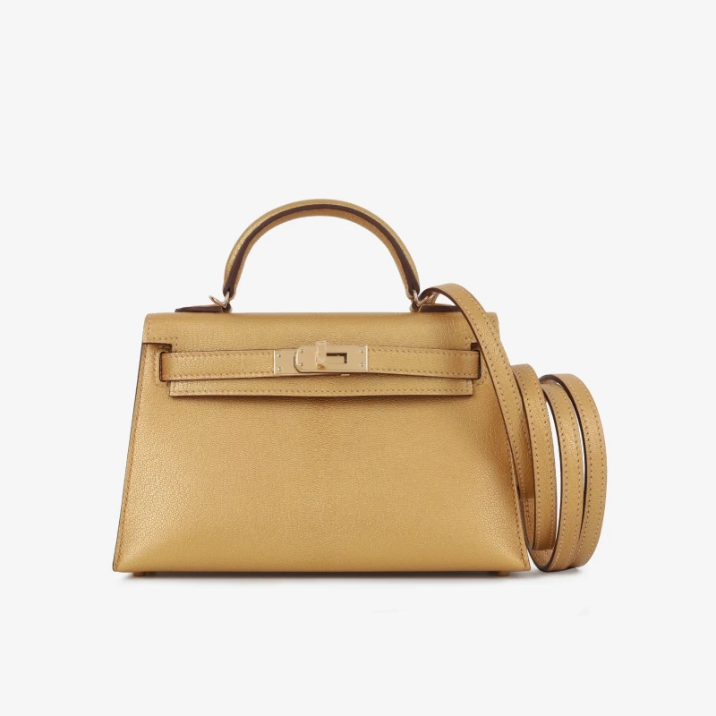 Hermès KELLY 20 MINI CHEVRE D'ORE PBHW K20CD 6