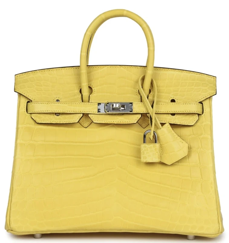 Hermès BIRKIN 25 CROCODILE NILOTICUS MATTE MIMOSA PHW B25CMM 1
