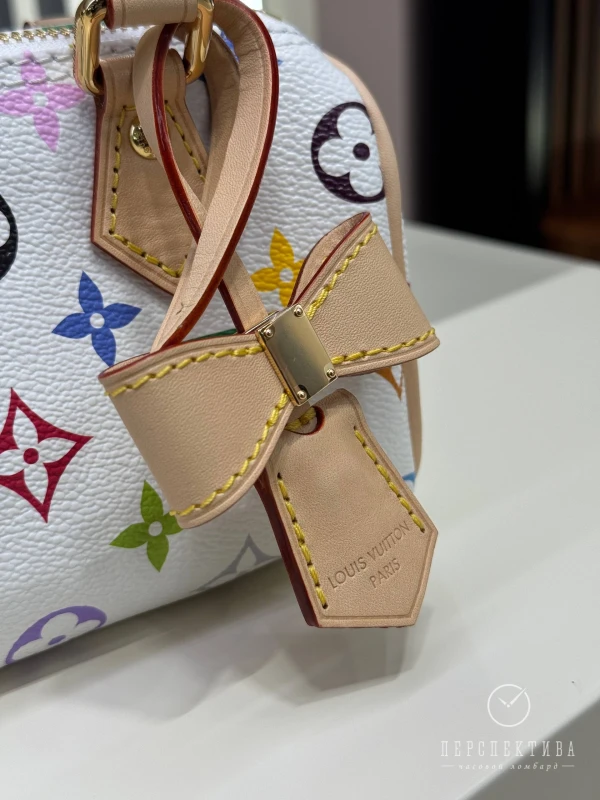 Louis Vuitton LV x TM Nano Speedy M13391 5