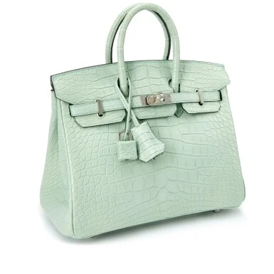 Hermès BIRKIN 25 ALLIGATOR MATTE VERT D'EAU PHW B25AMVD 2