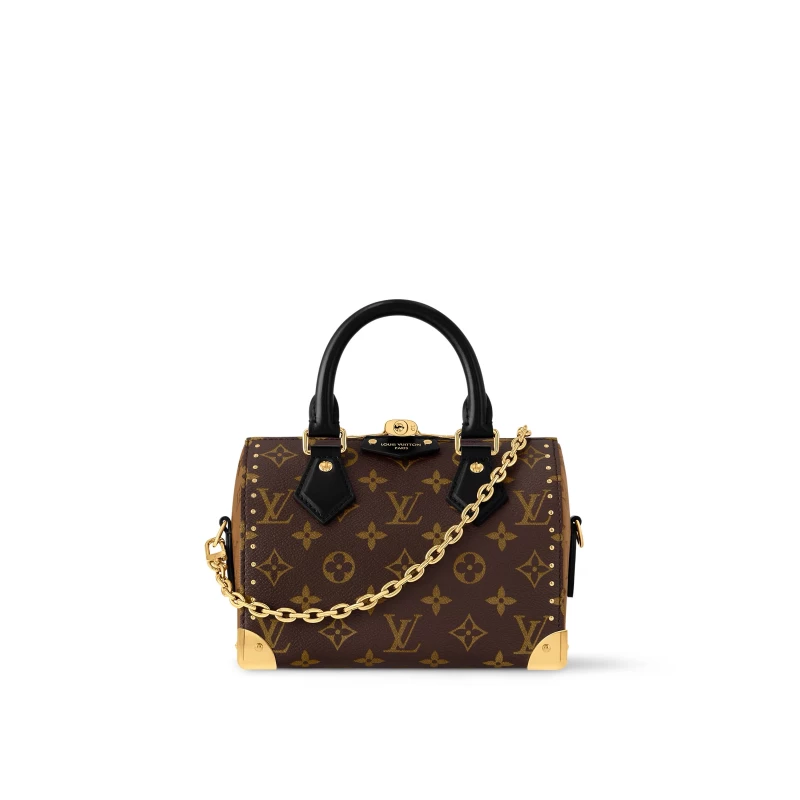 Louis Vuitton Сумка Speedy Trunk 20 (показ) M13146 6