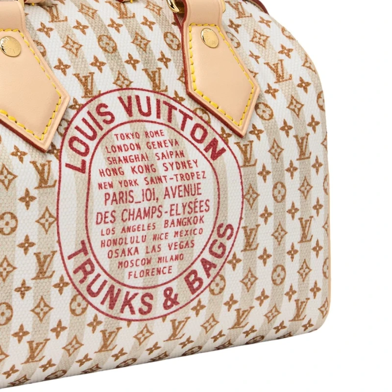 Louis Vuitton Speedy Bandoulière 20 M29459 6