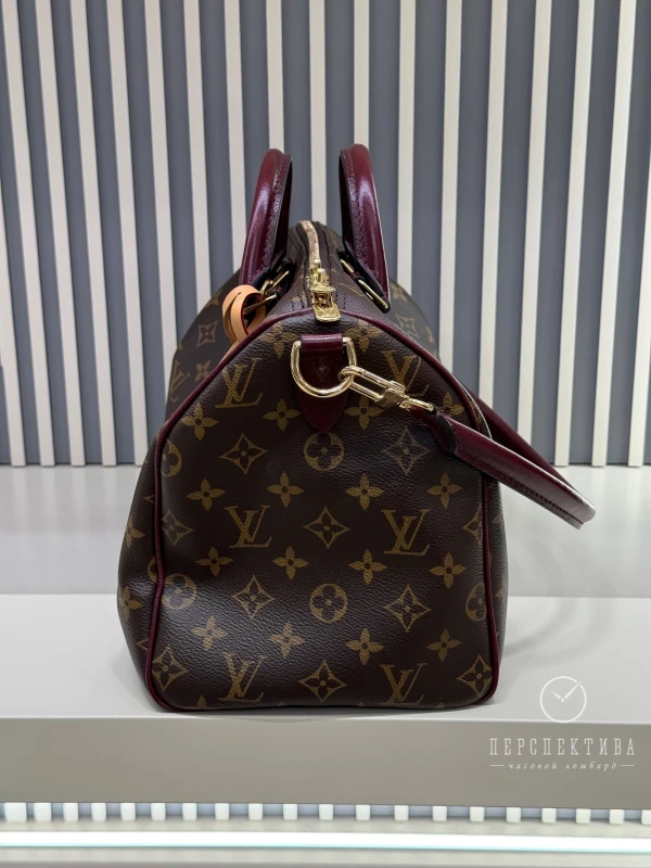 Louis Vuitton Speedy 30 Soft Celebration M28379 3
