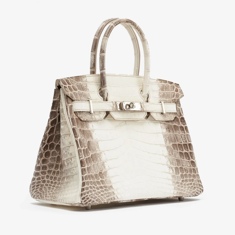 Hermès BIRKIN 30 CROCODILE NILOTICUS MATTE HIMALAYA PHW B30HIMA 4