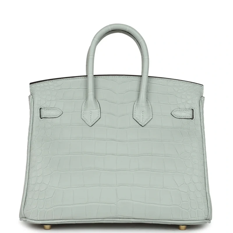 Hermès BIRKIN RETOURNE 25 ALLIGATOR MATTE GRIS NEVE GHW B25AMGN 4