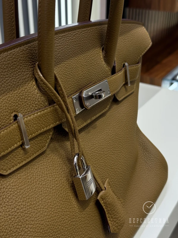 Hermès BIRKIN 30 VERSO BRONZE DORE/BLUME TOGO PHW H30BRONZEPHW 3