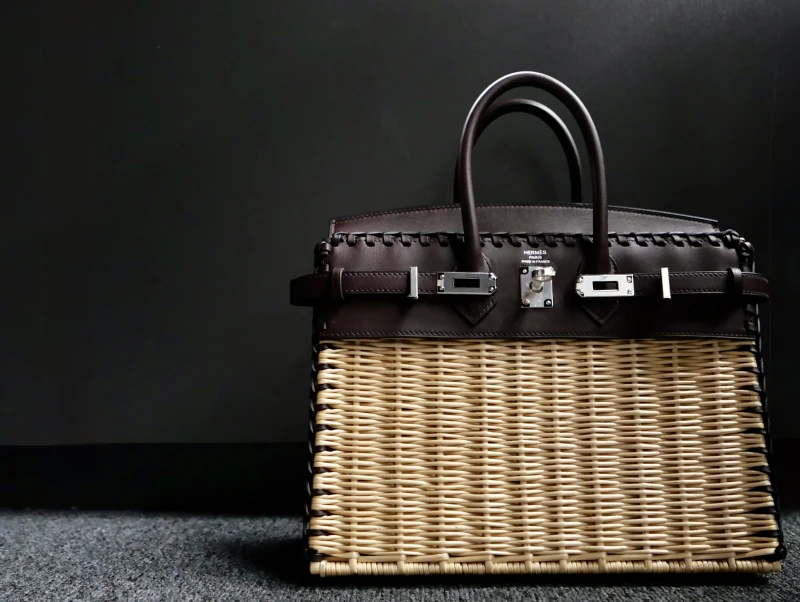 Hermès BIRKIN 25 LIMITED EDITION PICNIC ROUGE SELLIER PHW B25PICNIC 2