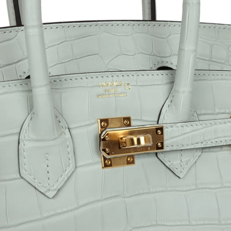 Hermès BIRKIN RETOURNE 25 ALLIGATOR MATTE GRIS NEVE GHW B25AMGN 7