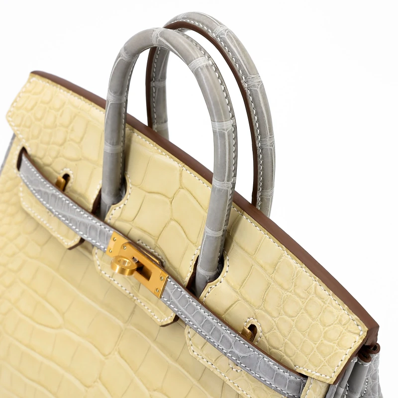 Hermès Birkin 25 HSS Vanille Gris Perle Matte Alligator BGHW B25AVGP 3