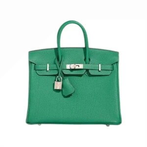 BIRKIN 25 VEAU TOGO VERT VERTIGO GHW