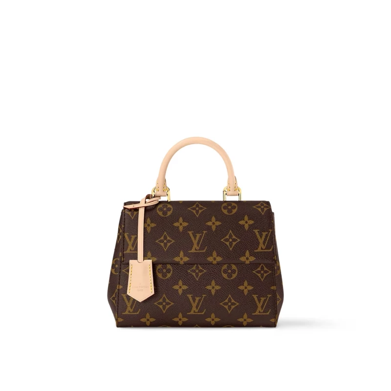 Louis Vuitton Cluny Mini Monogram M46055 4