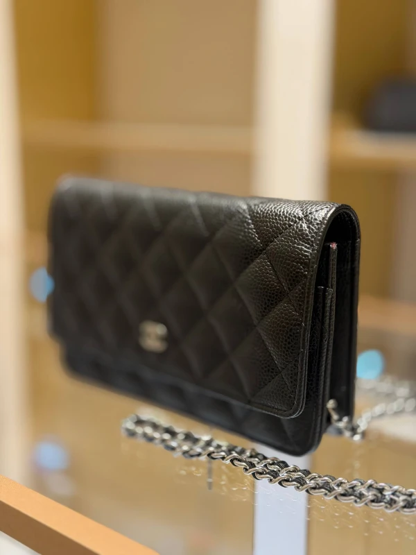 Chanel Wallet On Chain AP025Y 3