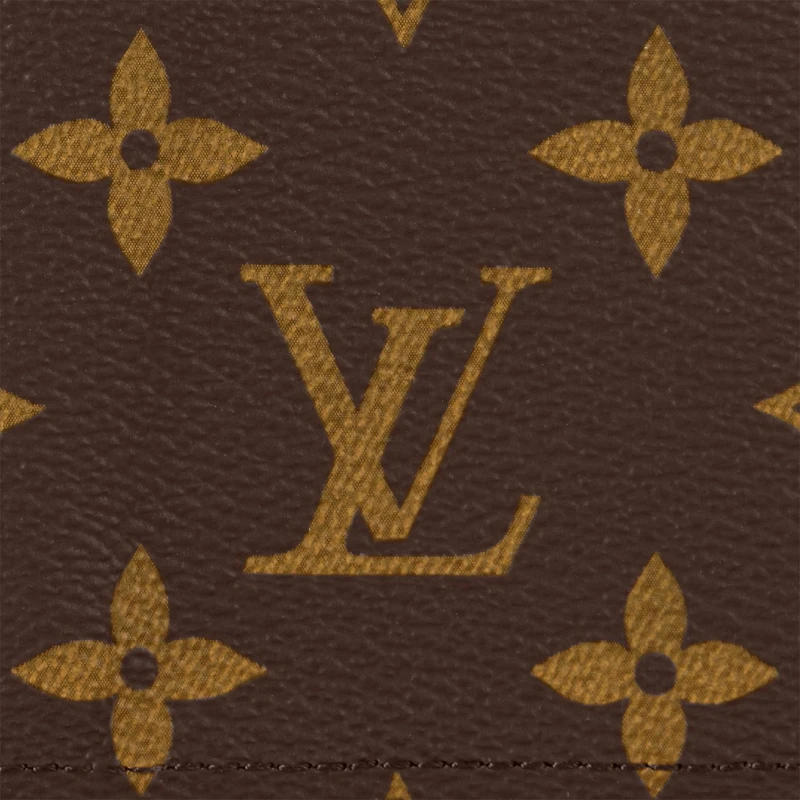 Louis Vuitton Passport Cover M64502 7
