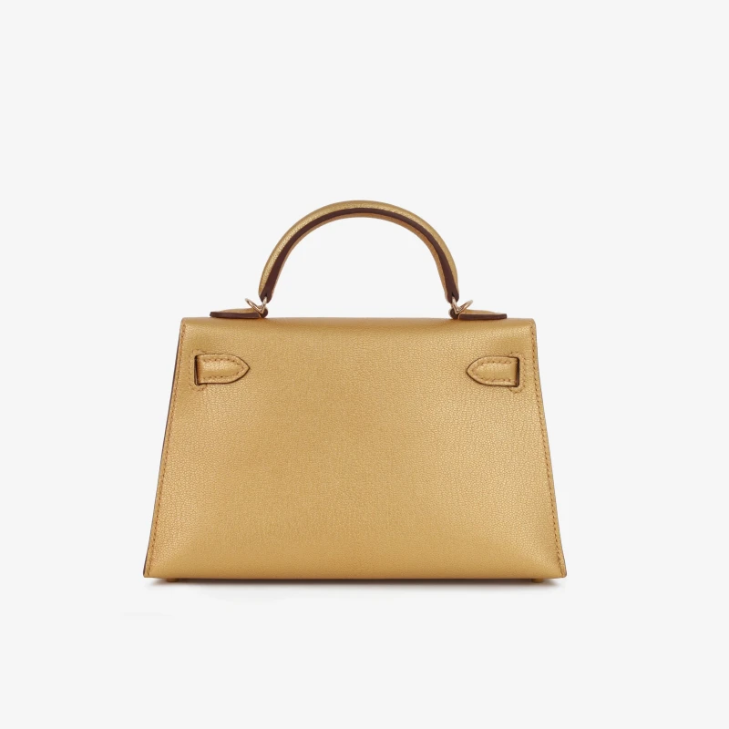 Hermès KELLY 20 MINI CHEVRE D'ORE PBHW K20CD 4