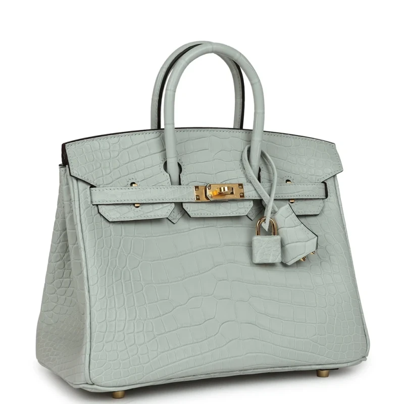 Hermès BIRKIN RETOURNE 25 ALLIGATOR MATTE GRIS NEVE GHW B25AMGN 3