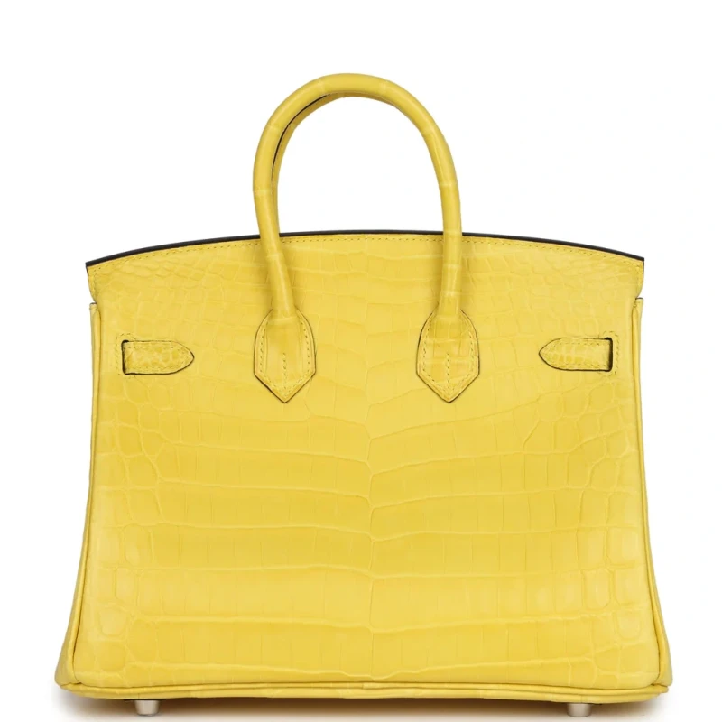 Hermès BIRKIN 25 CROCODILE NILOTICUS MATTE MIMOSA PHW B25CMM 3