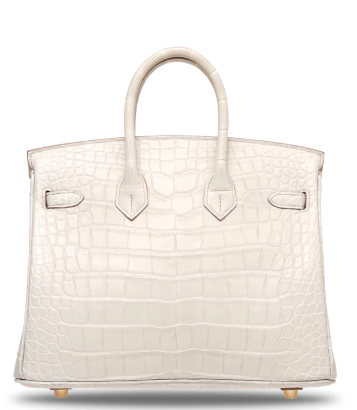 Hermès BIRKIN 25 ALLIGATOR MATTE BETON GHW B25AMB 3