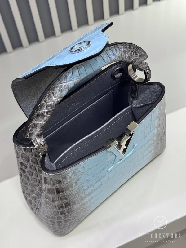 Louis Vuitton Capicine Bleu Himalaya CapucineHima 2