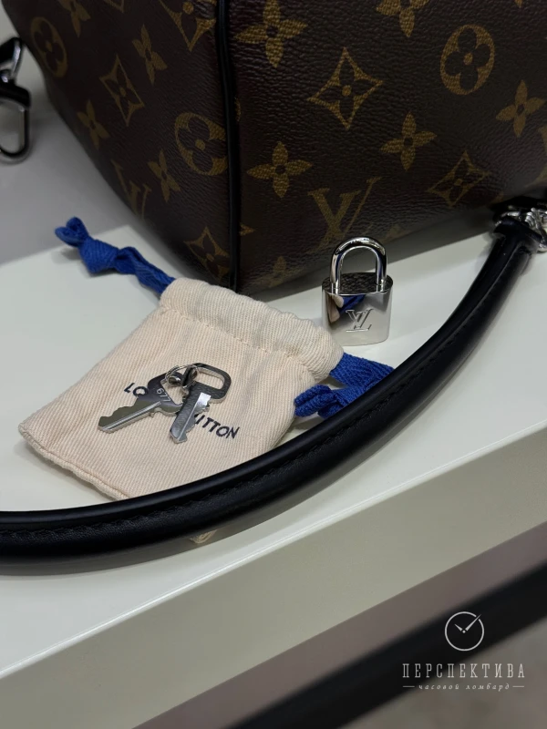 Louis Vuitton Сумка Speedy Soft 30 Dark M12243 5