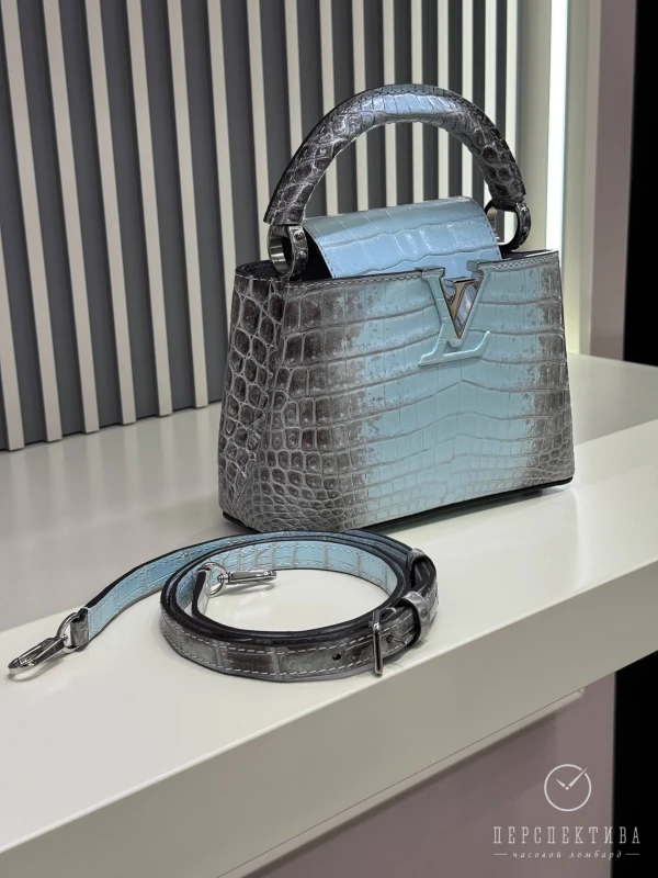 Louis Vuitton Capicine Bleu Himalaya CapucineHima 5