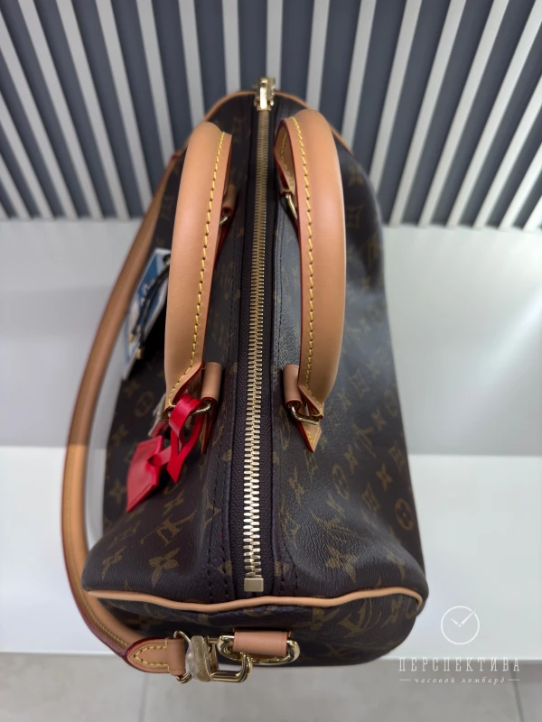 Louis Vuitton Speedy Soft 30 Crafty M11945 2