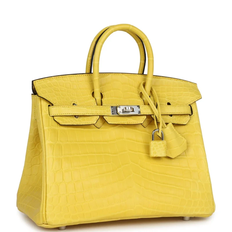 Hermès BIRKIN 25 CROCODILE NILOTICUS MATTE MIMOSA PHW B25CMM 2