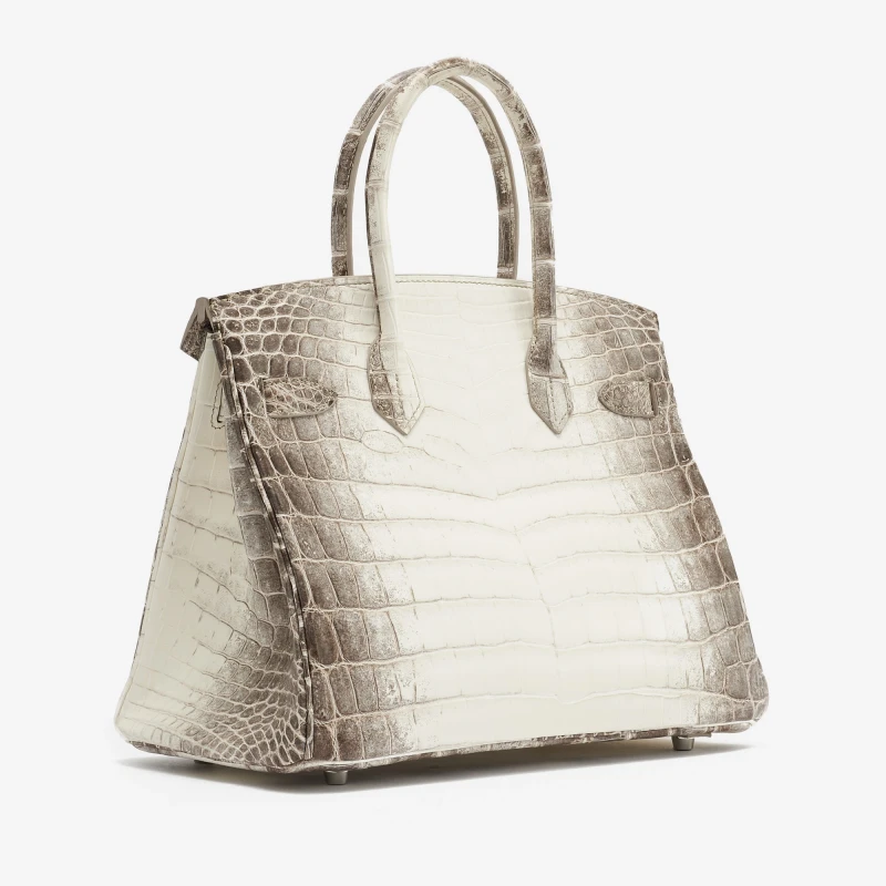 Hermès BIRKIN 30 CROCODILE NILOTICUS MATTE HIMALAYA PHW B30HIMA 2
