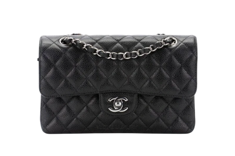 Chanel Classic Flap Bag Small Silver Hardware CHClSm 1