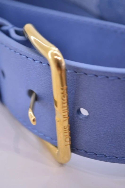 Louis Vuitton Rush Bumbag N00205 5