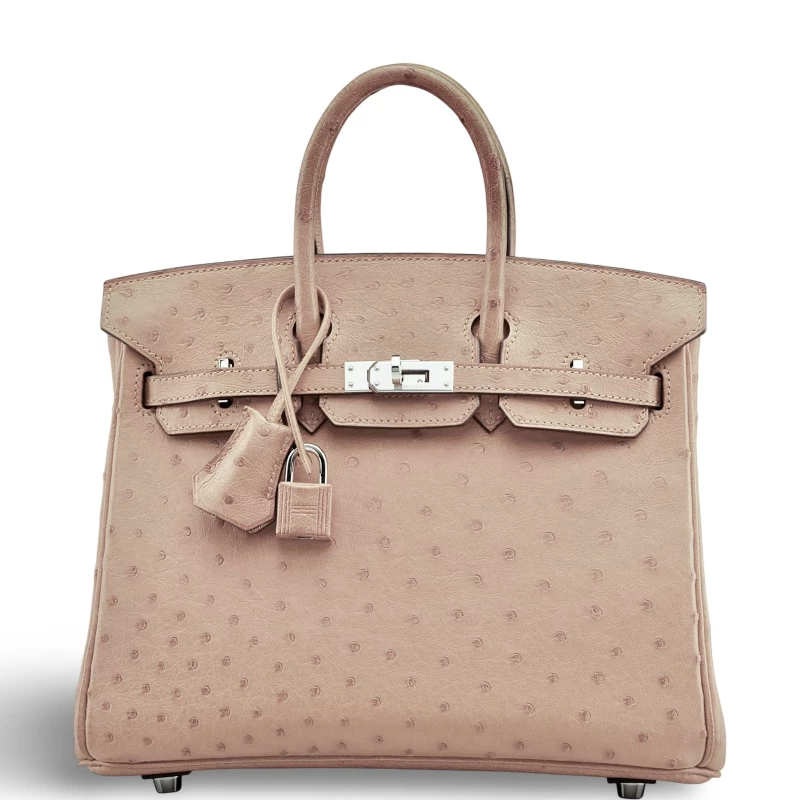 Hermès BIRKIN 25 OSTRICH CHAI PHW B25ATC