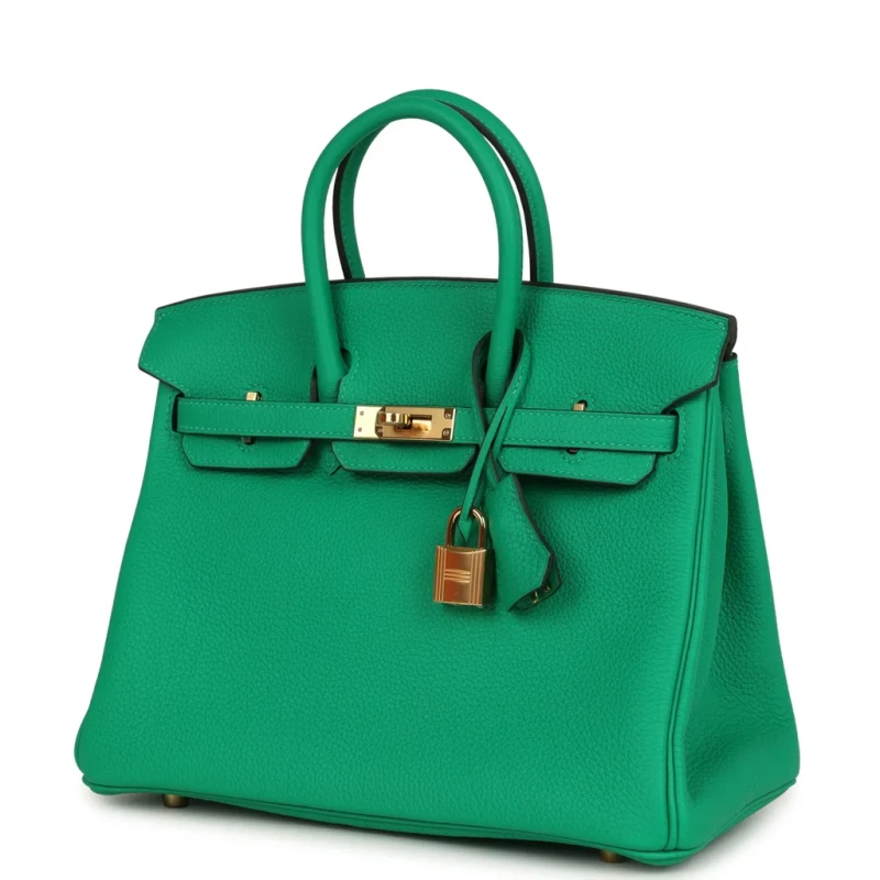 Hermès BIRKIN 25 VEAU TOGO MENTHE GHW B25TM 4