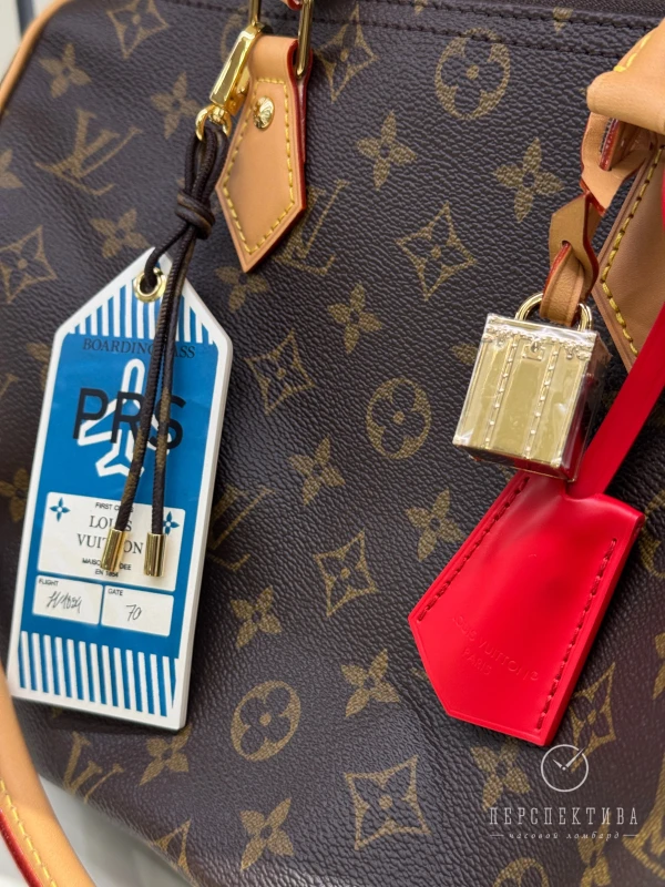 Louis Vuitton Speedy Soft 30 Crafty M11945 8