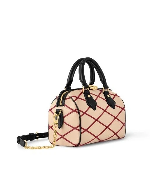 Louis Vuitton Speedy Bandoulière 20 M24261 2