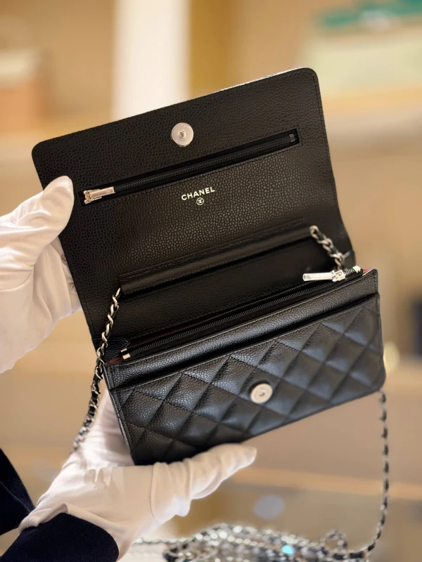 Chanel Wallet On Chain AP025Y 6