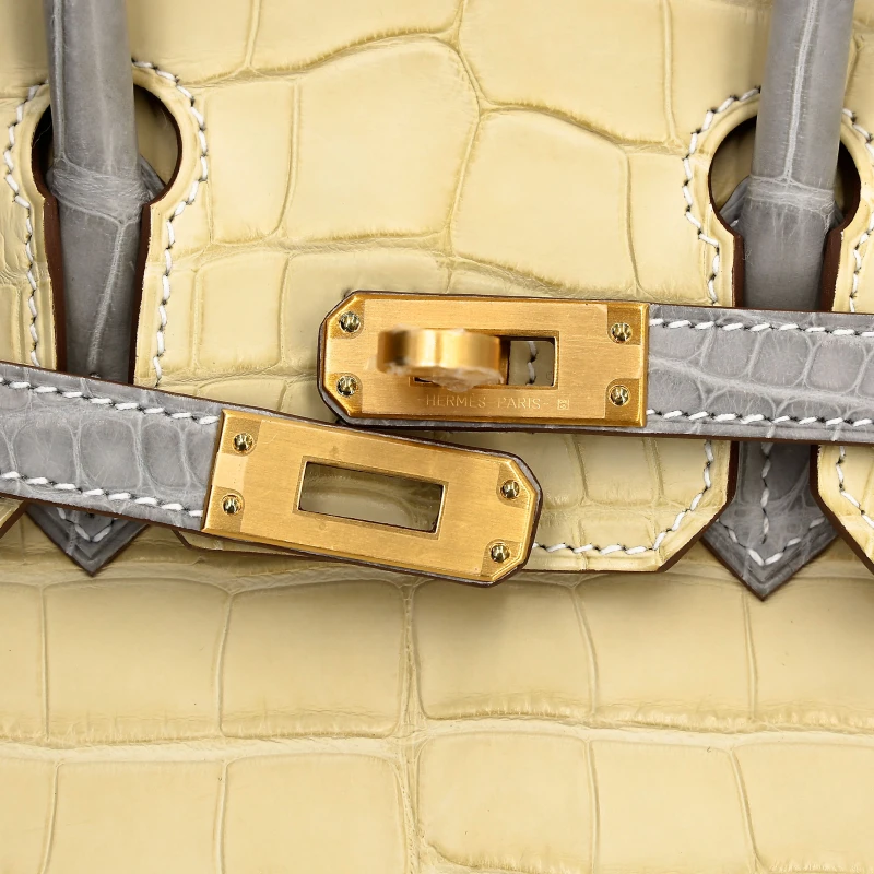 Hermès Birkin 25 HSS Vanille Gris Perle Matte Alligator BGHW B25AVGP 6